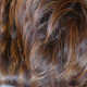 PROTHESE DE CHEVEUX NAÏG - EMALIZ HAIR