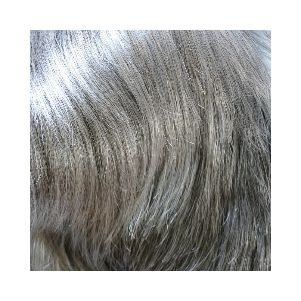 perruque homme 18ème siècle
