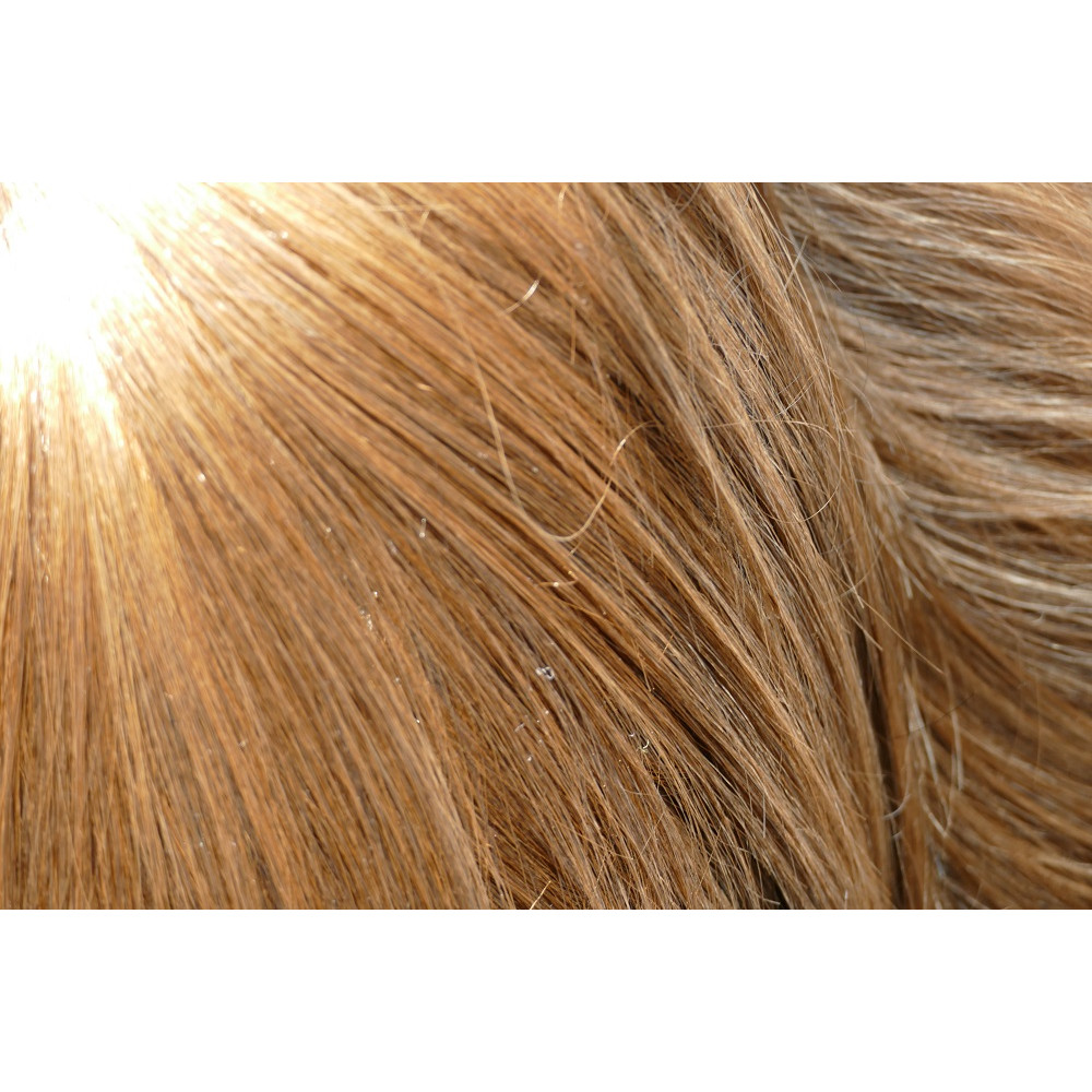 les perruques en cheveux naturels qualité remy hair